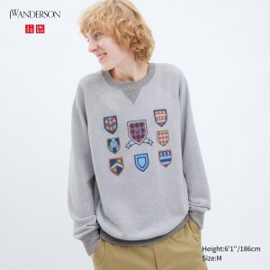Uniqlo College Sweatshirt Hoodie Herren Grau | 89534IYDO