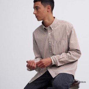 Uniqlo Extra Fine Cotton Broadcloth Regular Fit Checked Shirt Button Down Collar Hemd Herren Braun | 60571GVZD