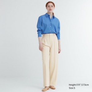 Uniqlo Pleated Wide Leg Trousers Long Oberteile Damen Beige | 12438WDYX
