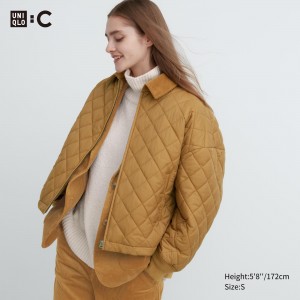 Uniqlo Warm Padded Blouson Jacken Damen Braun | 15074LKNS